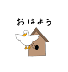 もちもちコールダック（個別スタンプ：3）