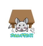 チンチラのチラッとオリちゃん（個別スタンプ：5）