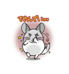 チンチラのチラッとオリちゃん（個別スタンプ：7）