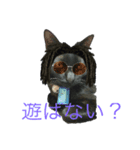 黒猫の運ちゃん。Part4（個別スタンプ：2）