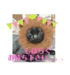 黒猫の運ちゃん。Part4（個別スタンプ：6）