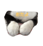 ちまきのおてて（個別スタンプ：1）