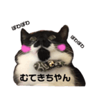 ちまきのおてて（個別スタンプ：16）