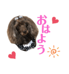 プリプリティアラ（個別スタンプ：1）
