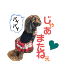 プリプリティアラ（個別スタンプ：6）