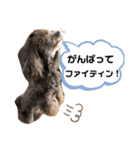 プリプリティアラ（個別スタンプ：18）