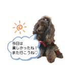 プリプリティアラ（個別スタンプ：32）