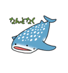 海の仲間たち(よく使うタメ口版)（個別スタンプ：30）