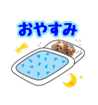 ポメチワ★ピュア＆ラブ＆マーブル（個別スタンプ：2）
