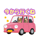 ポメチワ★ピュア＆ラブ＆マーブル（個別スタンプ：14）
