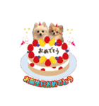 ポメチワ★ピュア＆ラブ＆マーブル（個別スタンプ：20）