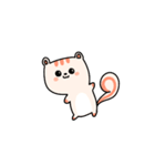 リス 'Jjirongi'（個別スタンプ：1）