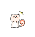 リス 'Jjirongi'（個別スタンプ：3）