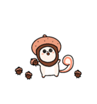 リス 'Jjirongi'（個別スタンプ：15）