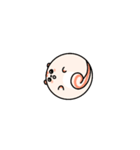 リス 'Jjirongi'（個別スタンプ：20）
