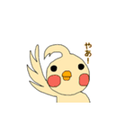 はじめまして。オカメです。（個別スタンプ：1）