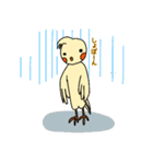 はじめまして。オカメです。（個別スタンプ：15）