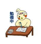 はじめまして。オカメです。（個別スタンプ：19）