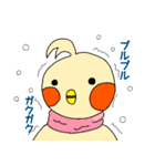 はじめまして。オカメです。（個別スタンプ：23）