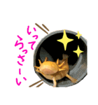 ごんちゃん 2（個別スタンプ：14）