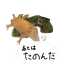 ごんちゃん 2（個別スタンプ：22）