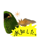 ごんちゃん 2（個別スタンプ：23）