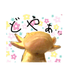 ごんちゃん 2（個別スタンプ：31）