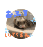 あにまるず！！（個別スタンプ：8）