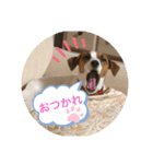 JAMちゃんスタンプ（個別スタンプ：4）
