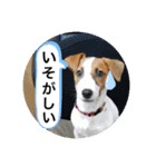 JAMちゃんスタンプ（個別スタンプ：5）