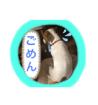JAMちゃんスタンプ（個別スタンプ：8）