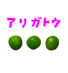 グリーンピース 手書き風文字（個別スタンプ：5）