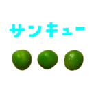 グリーンピース 手書き風文字（個別スタンプ：7）