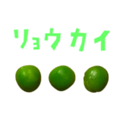 グリーンピース 手書き風文字（個別スタンプ：12）