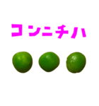 グリーンピース 手書き風文字（個別スタンプ：14）