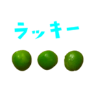 グリーンピース 手書き風文字（個別スタンプ：28）