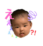 華帆さん（個別スタンプ：1）