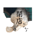 メイのお仕事（個別スタンプ：12）