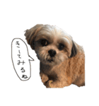 メイのお仕事（個別スタンプ：19）