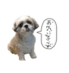 メイのお仕事（個別スタンプ：21）