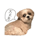 メイのお仕事（個別スタンプ：22）