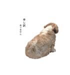 メイのお仕事（個別スタンプ：24）