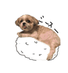 メイのお仕事（個別スタンプ：40）