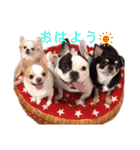 もちおと愉快な仲間たち3（個別スタンプ：13）
