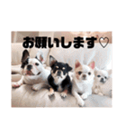もちおと愉快な仲間たち3（個別スタンプ：33）