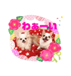 もちおと愉快な仲間たち3（個別スタンプ：37）