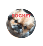 Rocket The Lucky Star（個別スタンプ：6）