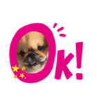 Rocket The Lucky Star（個別スタンプ：7）
