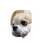 かわいいrizちゃん♡（個別スタンプ：2）