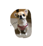かわいいrizちゃん♡（個別スタンプ：4）